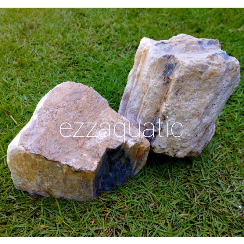 Batu Fosil Kayu Hiasan Aquarium