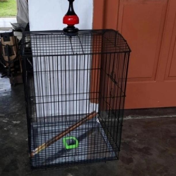 kandang burung besi lipat gantung