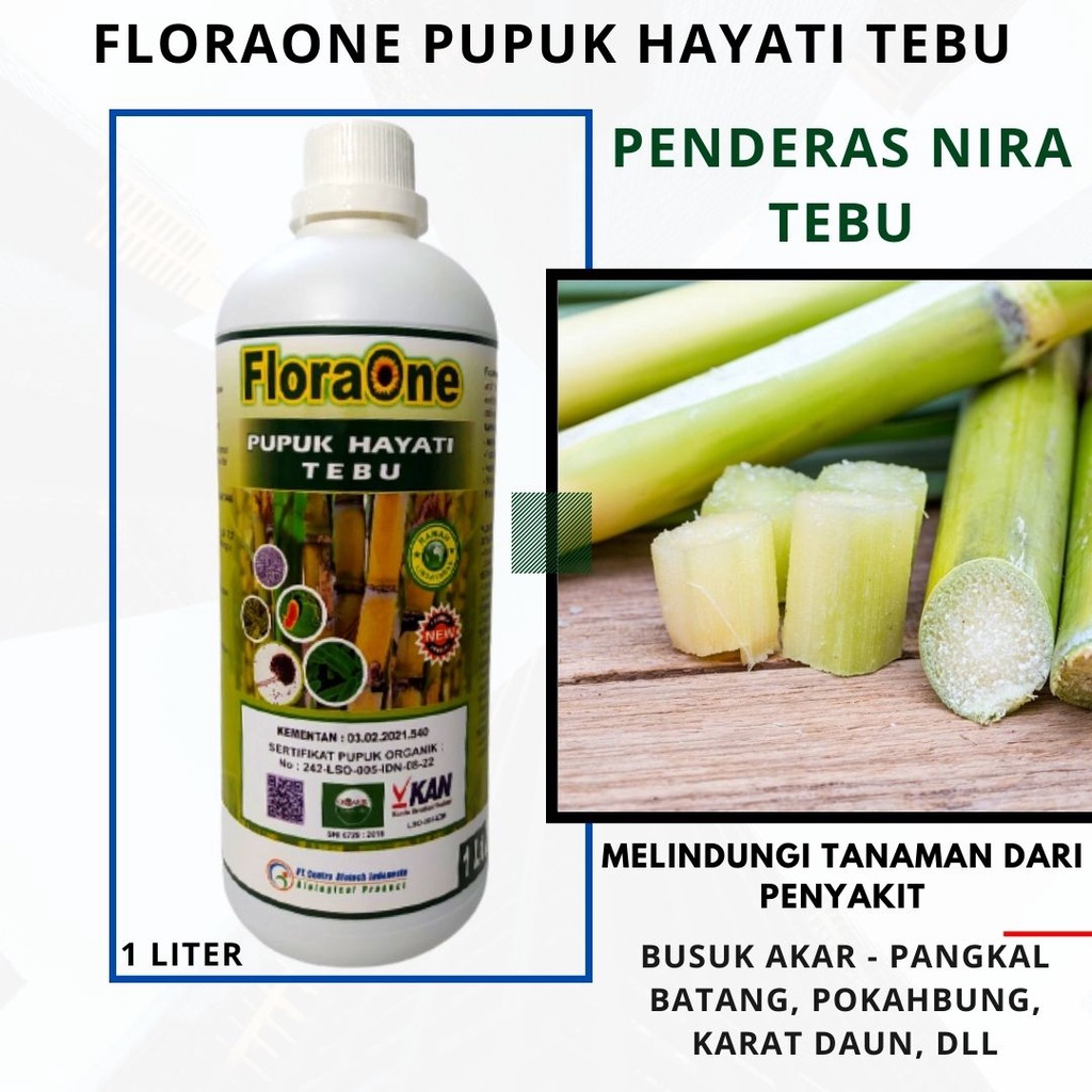 Pupuk Cair Tanaman Tabu, FloraOne Pupuk Hayati Penderas Nira Tebu, Obat Penyakit Pokahbung Tebu