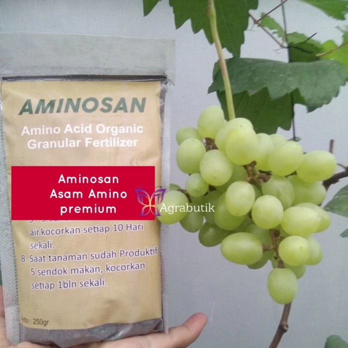 Aminosan pupuk organik Asam amino premium aneka tanaman buah anggur EE33