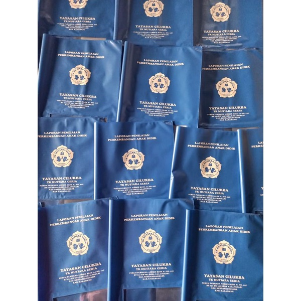 

sampul raport