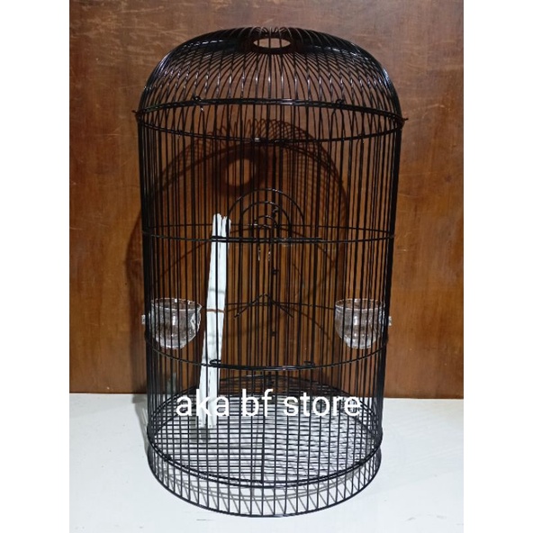 sangkar ruji dragon lovebird