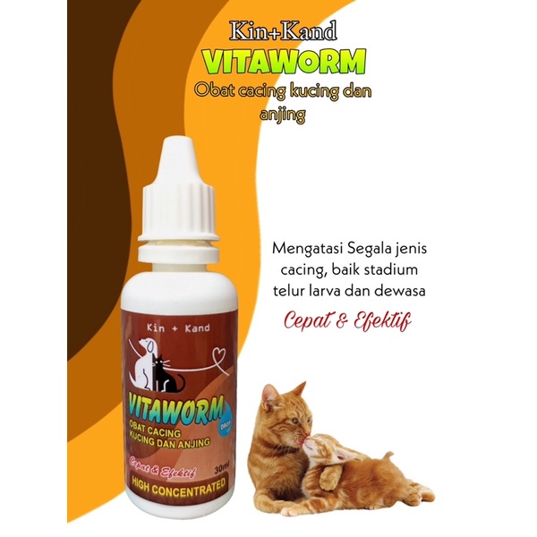 KHUSUS RESELLER OBAT FLU KUCING OBAT DIARE KUCING OBAT CACING KUCING