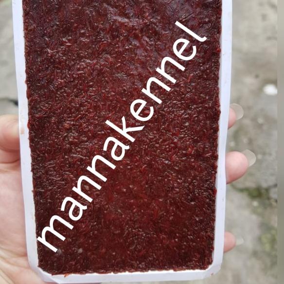 cacing darah beku/frozen bloodworm/cabek/cacing beku tray kiloan 1kg