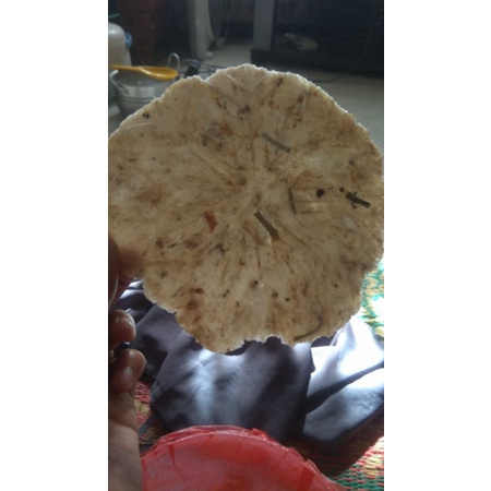 

Gamber ikan