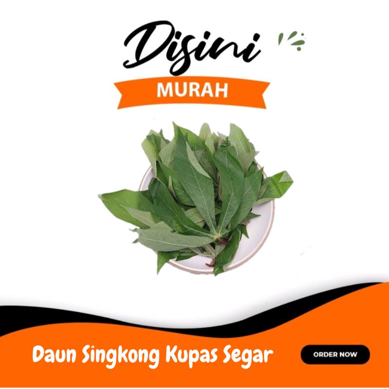 

daun singkong petik segar