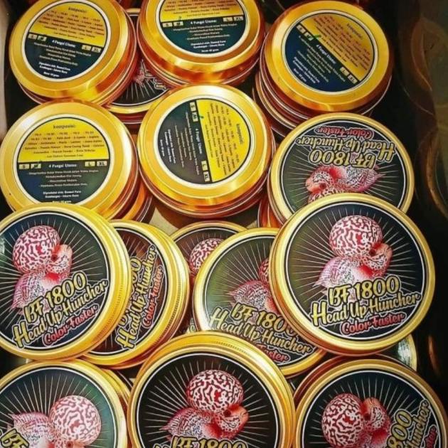 PELET BF1800 & BF800 STRONG COLOR BIG HEAD PAKAN LOHAN LOUHAN TERBAIK - BF800, Mini