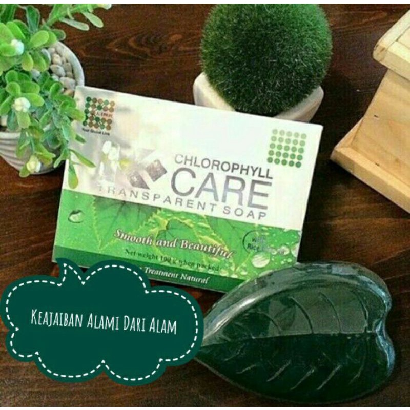 K-Chlorophyll Care Transparant Soap