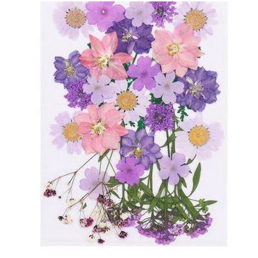 Pressed Dried Flower - Bunga Kering Press #02 - PURPLE