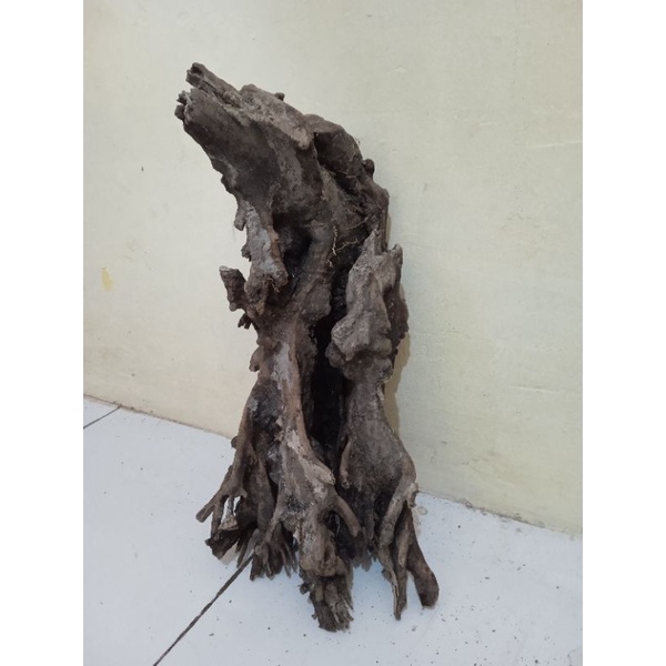 Kayu rentek akuarium aquascape size XL