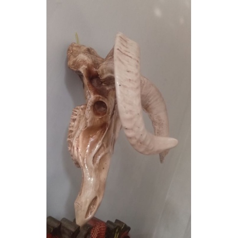 patung tengkorak kambing Garut