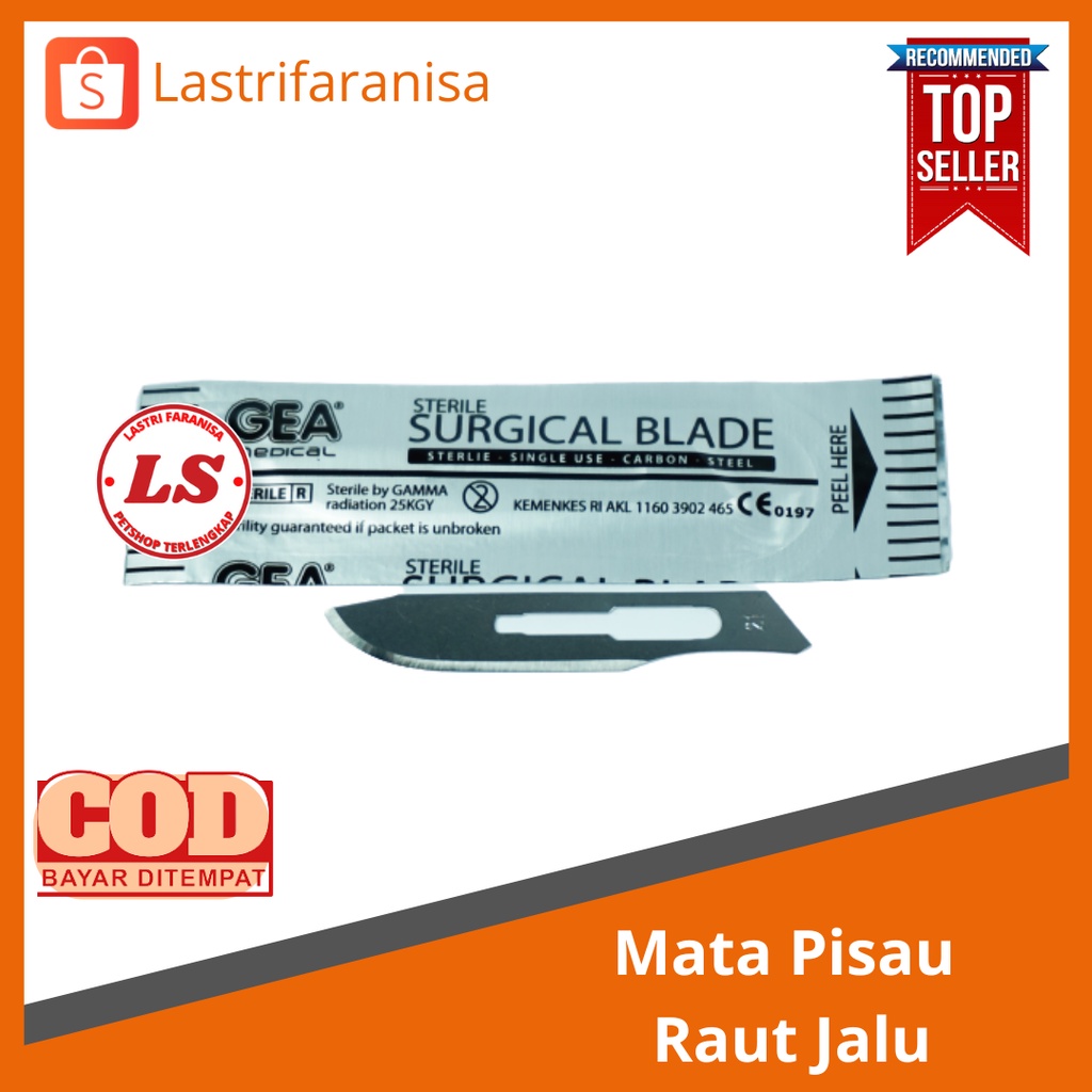 PISAU RAUT JALU  Pisau Jalu Ayam Pisau Peruncing Jalu Pisau Peruncing Taji Ayam Bangkok