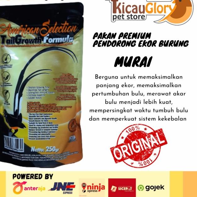AMS Tail Growth American Selection Formula Pur Murai Dorong Ekor
