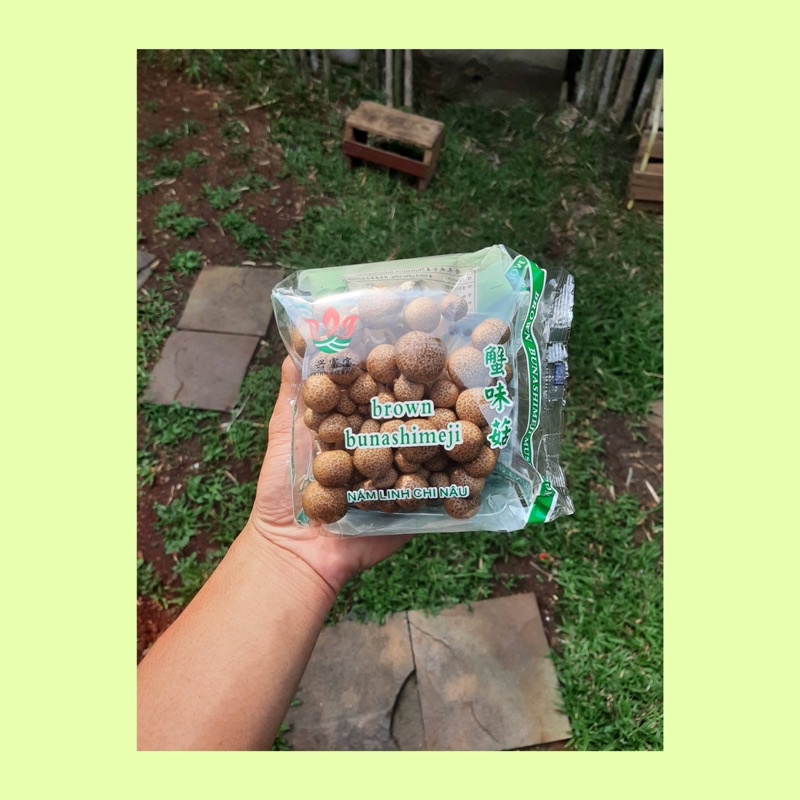 

Jamur shimeji coklat / jamur fresh