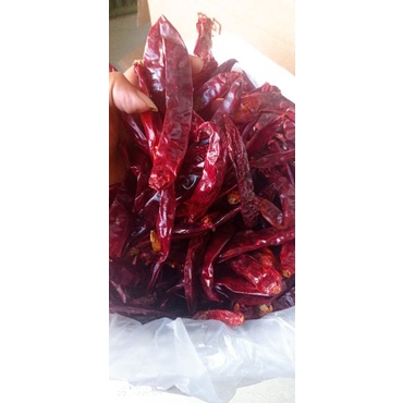 

HG 1kg CABE MERAH KERING TANPA TANGKAI TIDAK PEDAS KUALITAS BAGUS