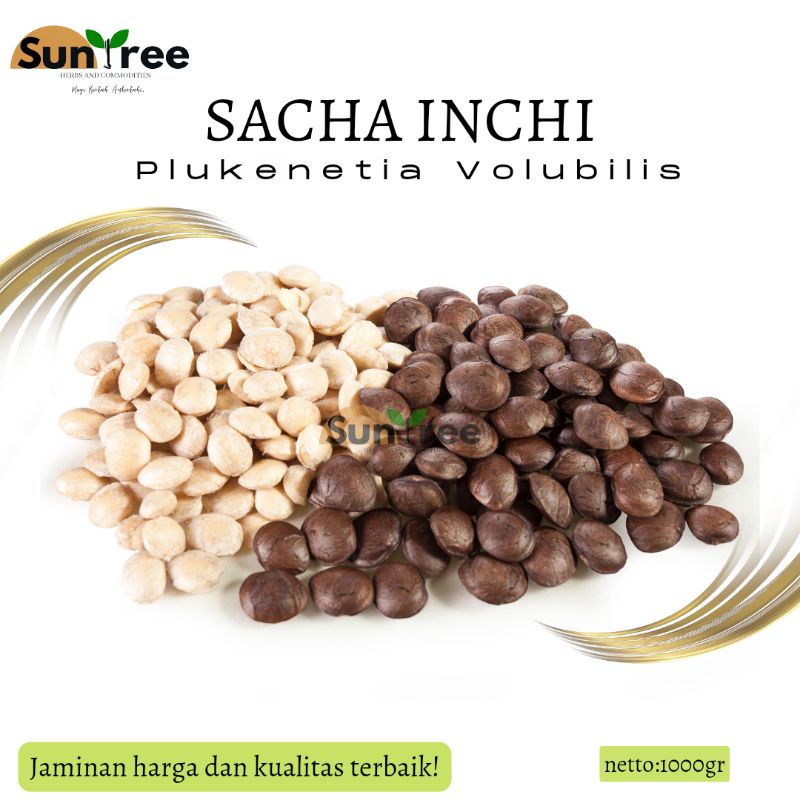 

kacang sacha inchi (sudah kupas) 1kg