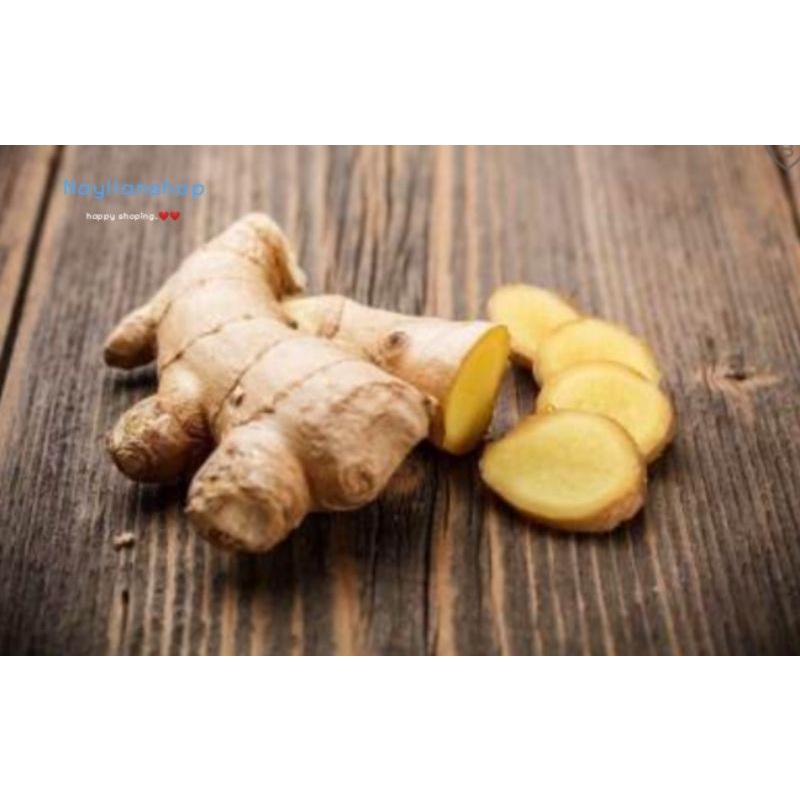 

Jahe Emprit Murah Jahe Emprit Segar Jahe Emprit 1 Kg