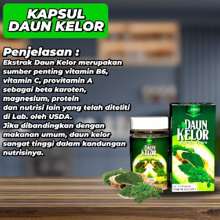 Kapsul Ekstrak daun kelor Moringa Oliefera Syifa Herbal - Daun Kelor Moringa Oleifera 60 Kpsl