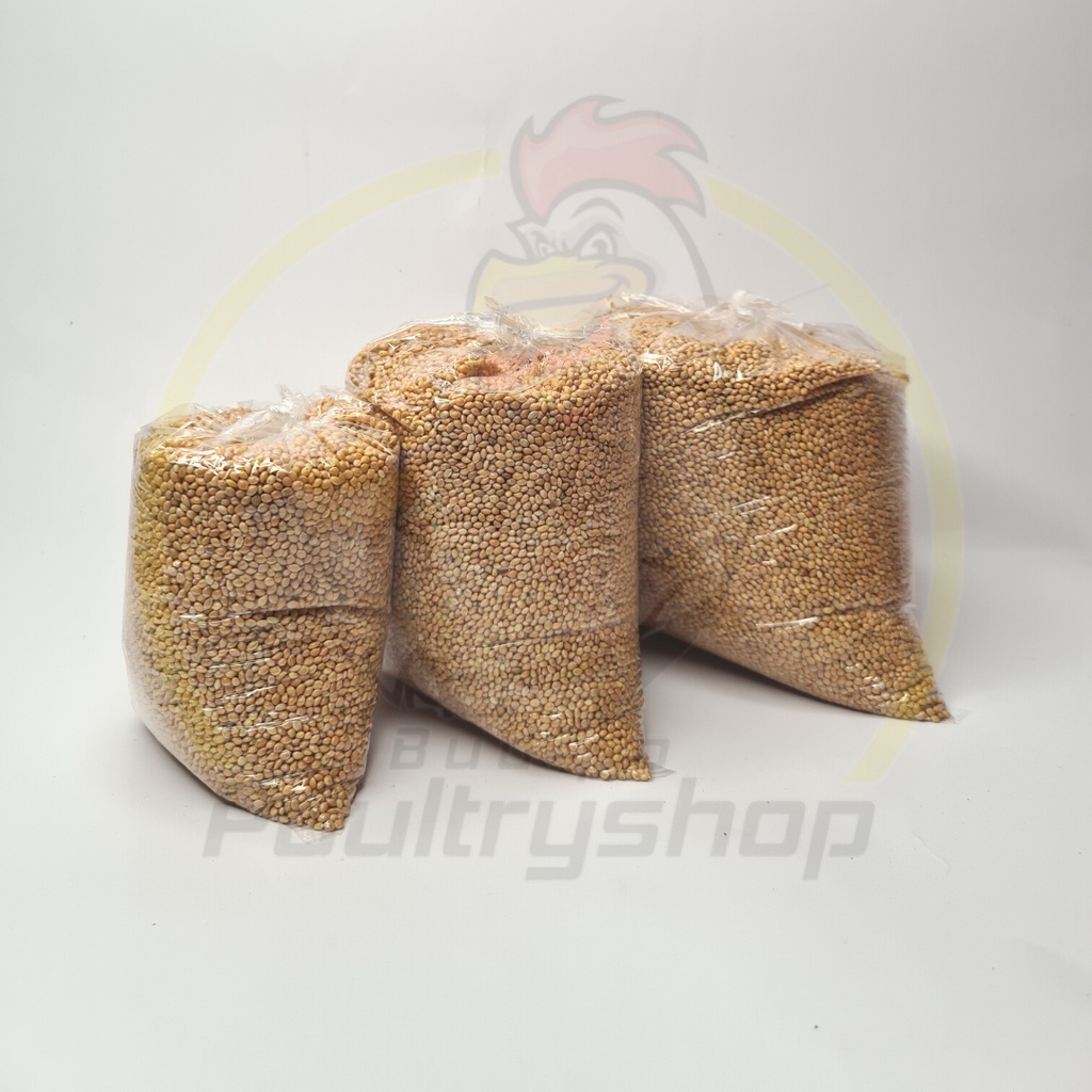 Milet kuning/ Milet murah