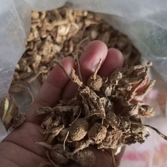 

kunci pepet/ kunyit putih iris kering 500gr