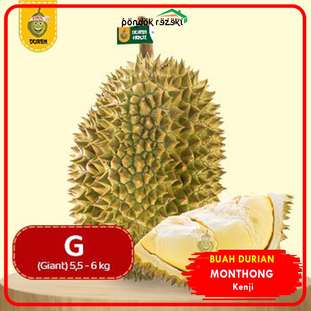 

Duren Kenji Monthong Bulat Fresh Ukuran GIANT (Buah Durian Utuh)