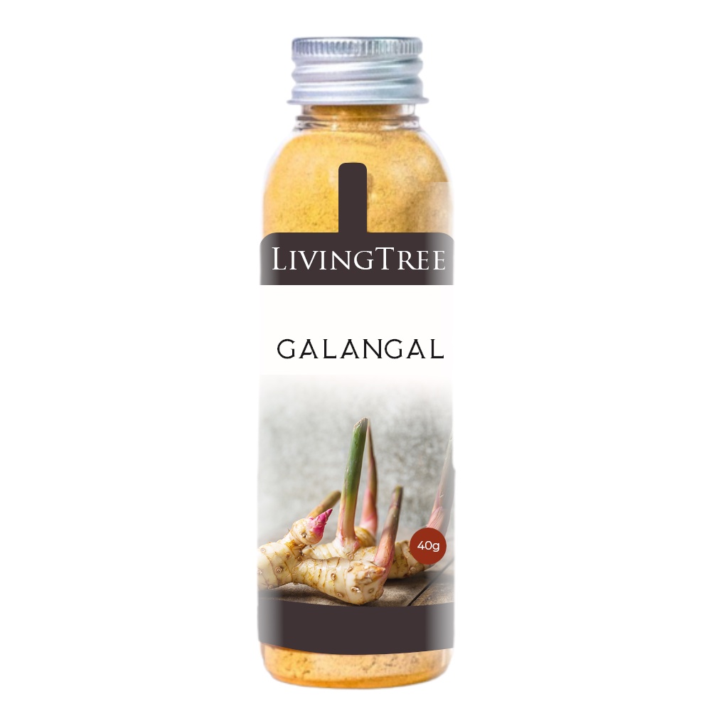 

Lengkuas 30 gr Bubuk Galangal Powder 100% Rempah Alami LivingTree
