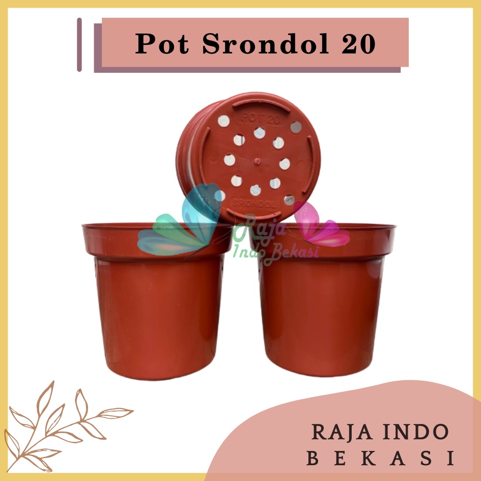 LUSINAN Pot Tinggi Srondol 20 Putih Hitam Merah BataTerracota Terracotta Merah Coklat - Pot Tinggi Usa Eiffel 18 20 25 Lusinan Pot Tinggi Tirus 15 18 20 30 35 40 50 Cm Paket murah isi 1 lusin pot tanaman Pot Bibit Besar Mini Kecil Pot Srondol