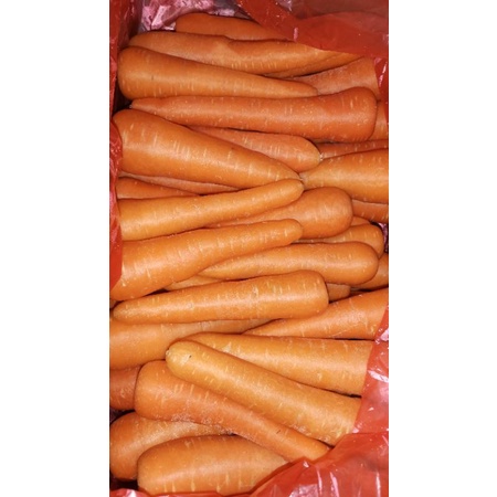 

Wortel Brastagi Kemasan 1 kg