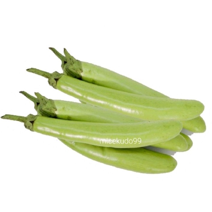 

TERONG HIJAU ORGANIK PANJANG SEGAR SAYUR FRESH GREEN EGGPLANT