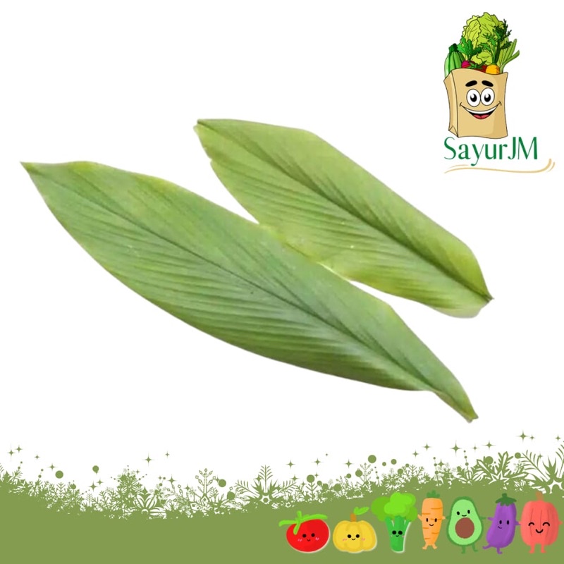 

SayurJM - Daun Kunyit 1 ikat / Rempah / Sayur Segar / Sayuran Segar