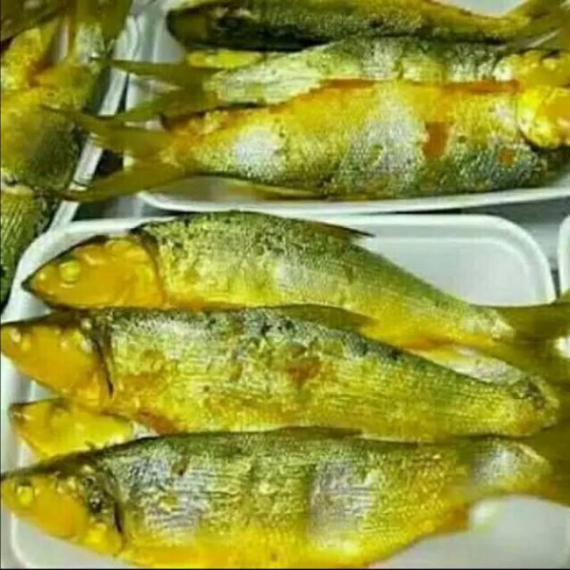 

Bandeng presto fresh 3pcs