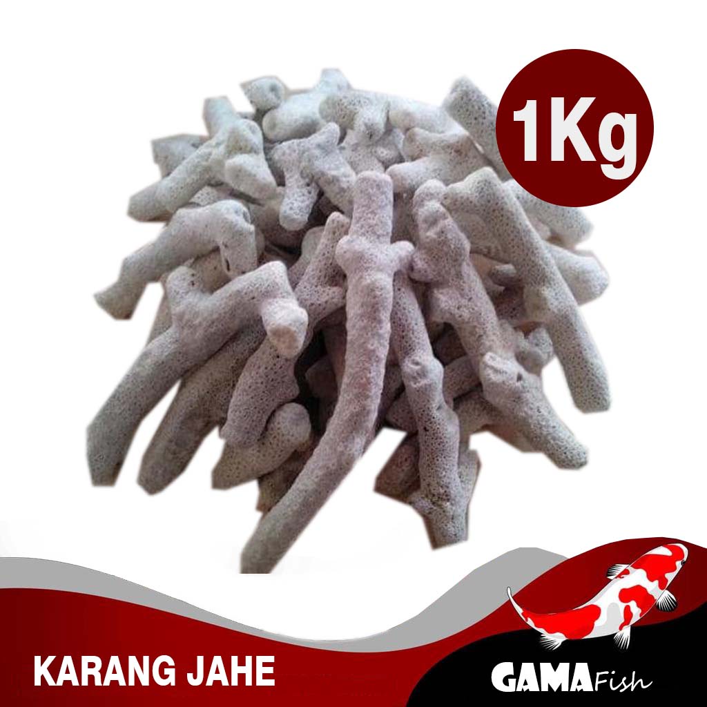 KARANG JAHE 1KG media filter