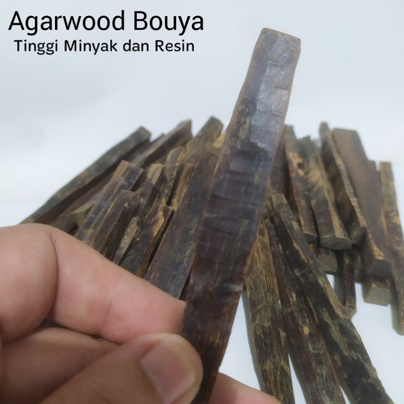 Agarwood Bouya Grade A Super Kayu Gaharu Buaya 1kg Kwalitas 1000% Asli Pedalaman Hutan Kalteng Alami