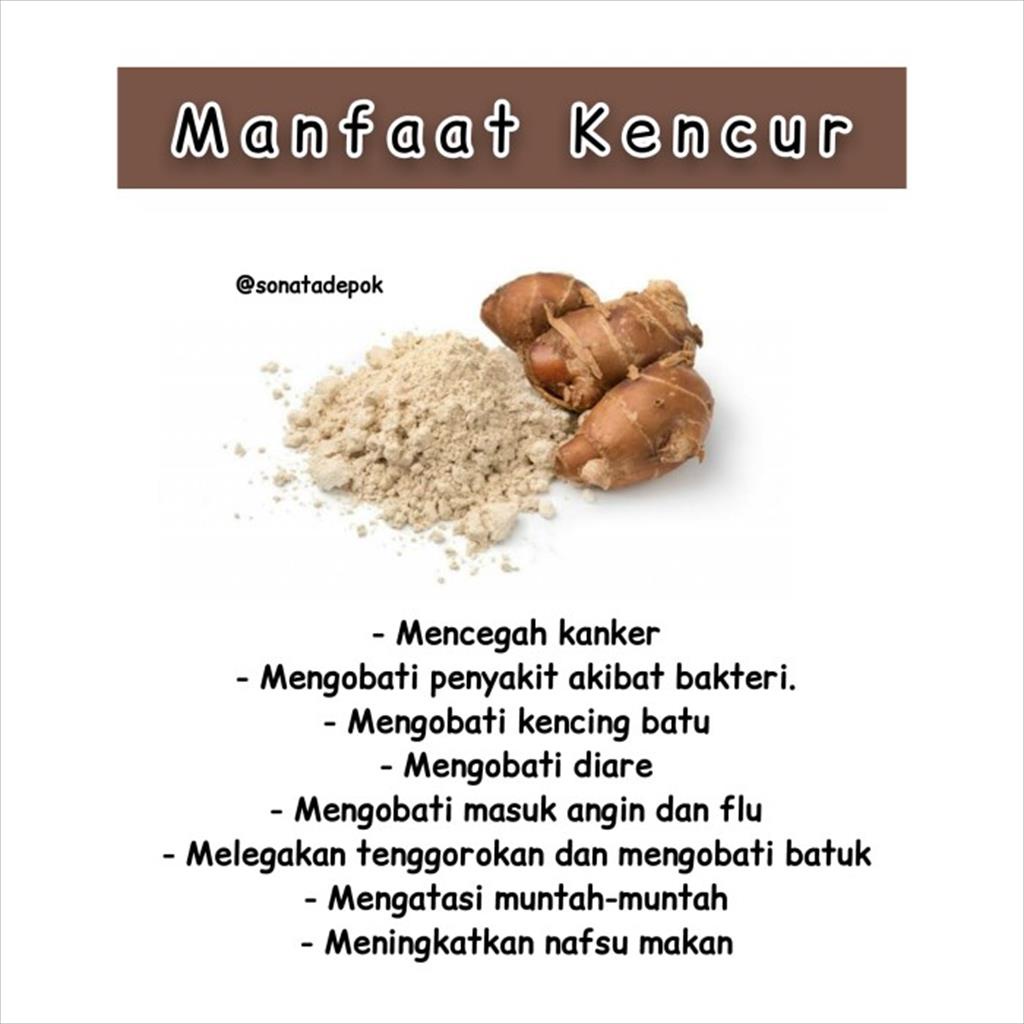 Kencur Bubuk Murni Lokal 1kg Kaempferia Galanga Pure Powder Organik