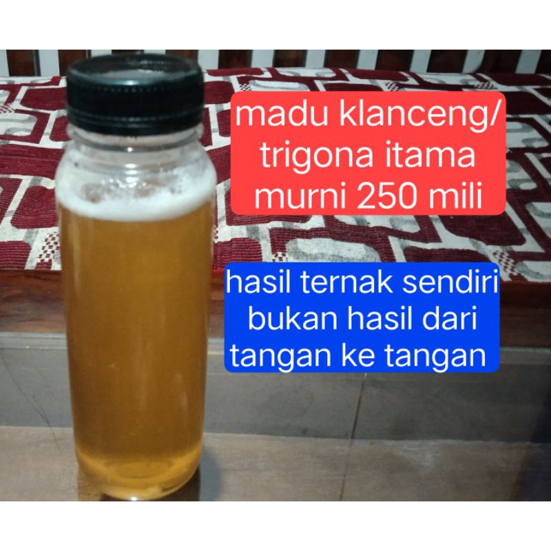 

madu klanceng/lanceng/ kelulut itama murni