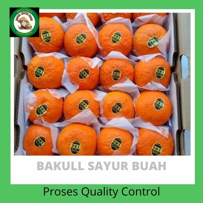 

SALE NOW JERUK WOKAM GIFT IMLEK DMX PER DUS 9KG TERBAIK