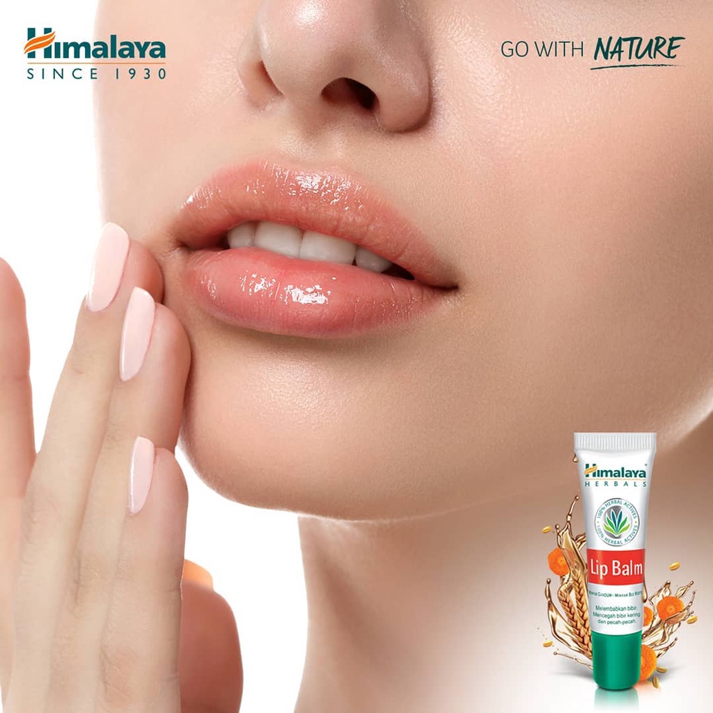 HIMALAYA Herbals Lip Balm - 10 gr