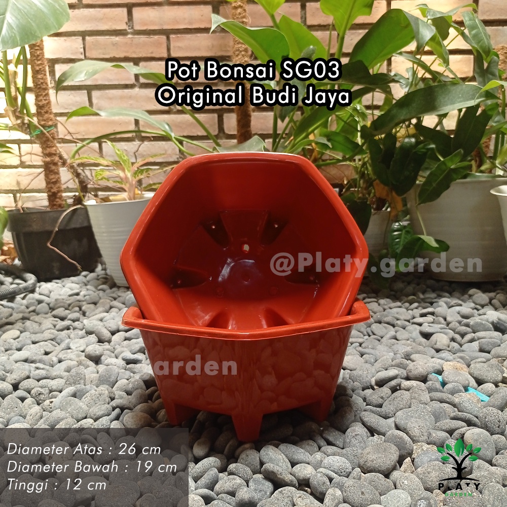 Pot Bonsai SG-03 | Pot Bonsai Ceper | Pot Tanaman Budi Jaya