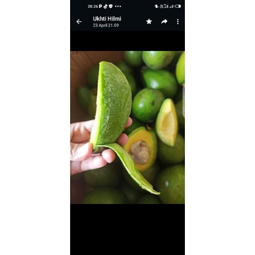 

Alpuket Asgar Asli Garut