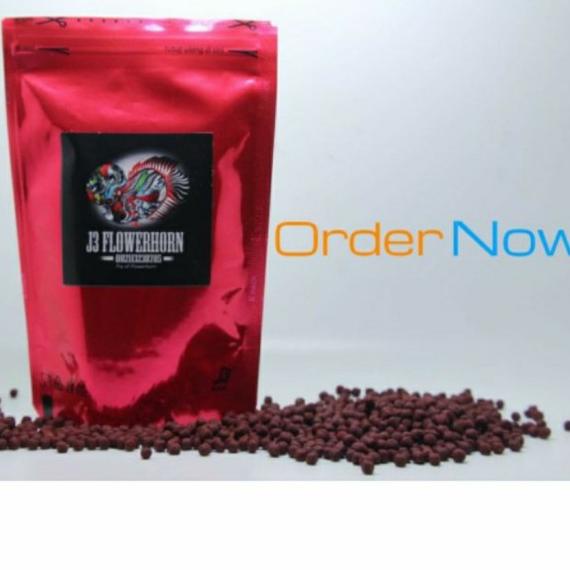 SUPER RED J3 Flowerhorn ( pelet louhan) - M