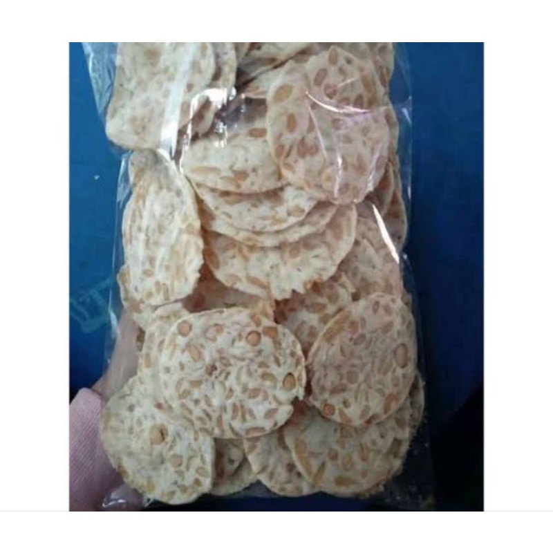 

KRIPIK TEMPE 500GR