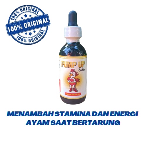 K-Booster PUMP UP Menambah Energy Ayam Laga