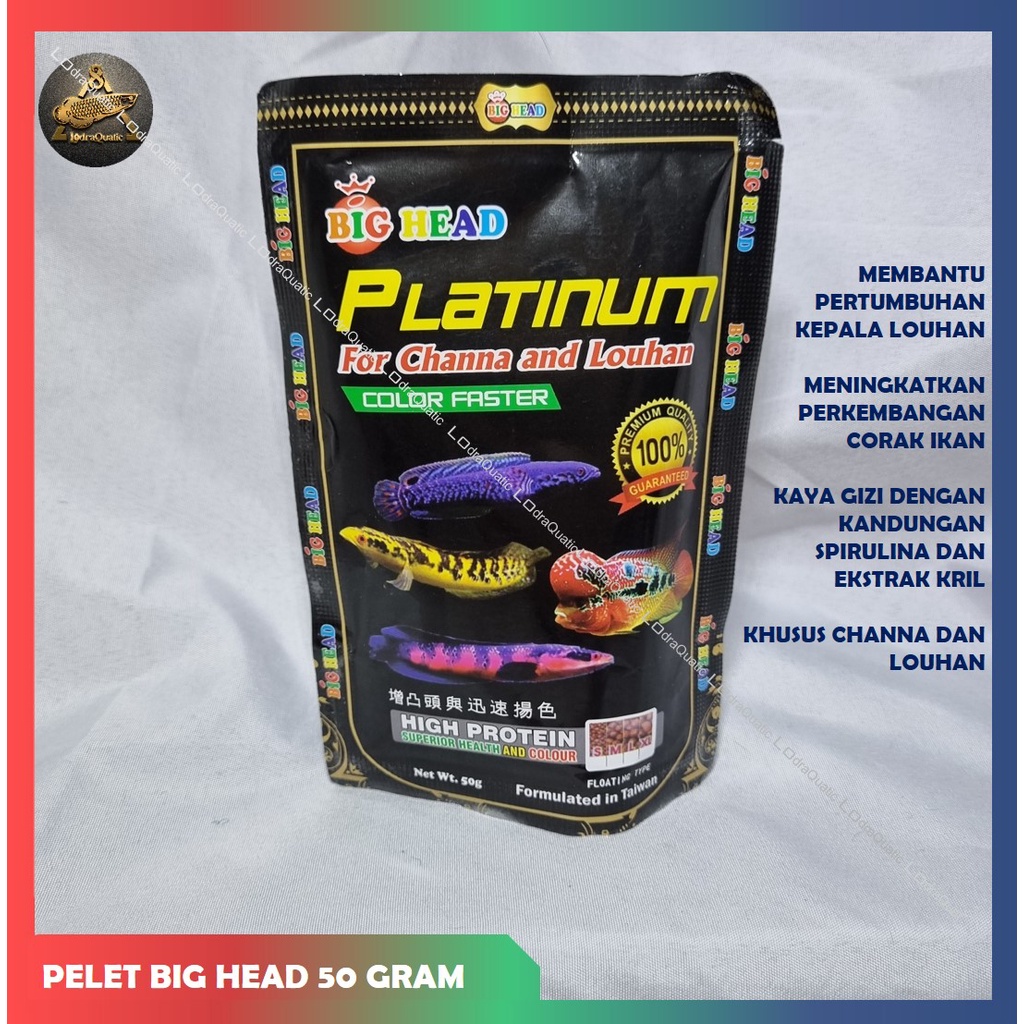 PELET BIG HEAD 50 GRAM PELET PROTEIN TINGGI SPESIAL BOOSTER WARNA CHANNA  PELET LOUHAN ANTI STRESS PELET PREDATOR PELET PREMIUM YELLOW PREMIUM RED PREMIUM BLUE PELET BIG HEAD PLATINUM BOOSTER WARNA IKAN PELET CUPANG GUPPY CICHLID LOUHAN CHANNA ARWANA