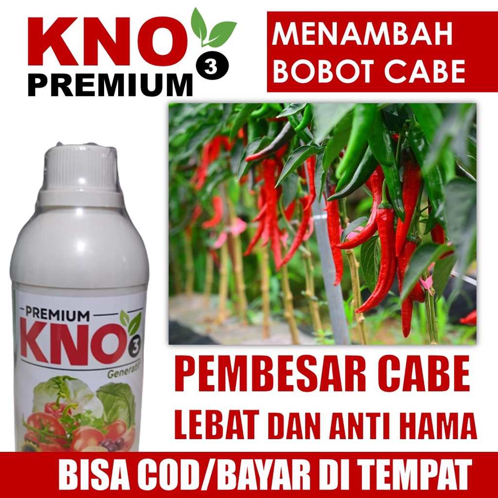 Jual Pupuk Booster Buah Cabe Terbaik Isi Ml Kno Premium Pupuk Kalium Cair Pelebat Buah