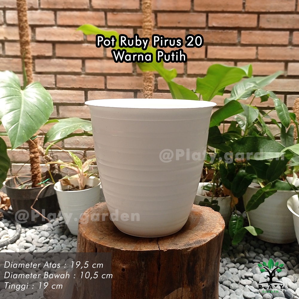 Pot Ruby Pirus Tinggi 20 | Pot Model Tawon | Pot Putih Tinggi