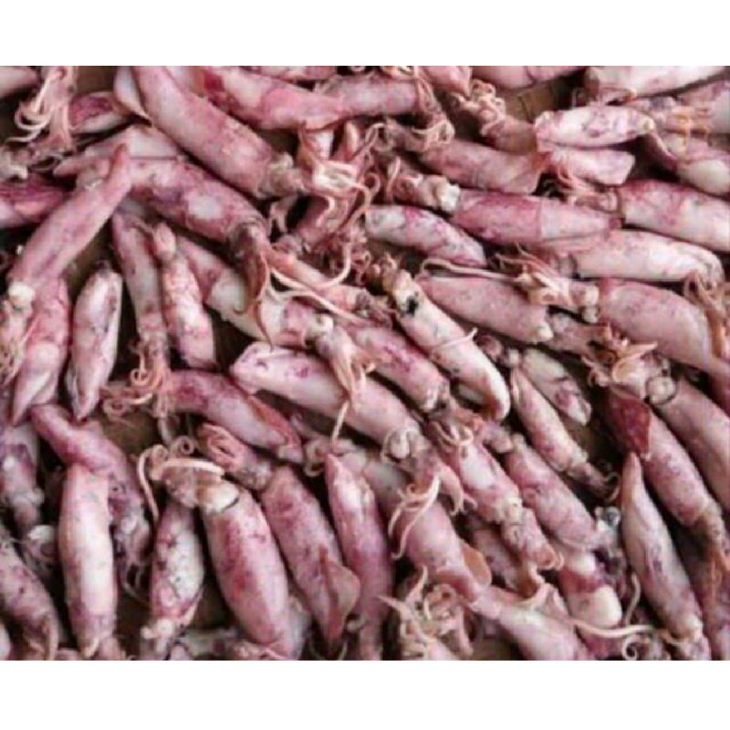 

Cumi Asin super kering 500Gram