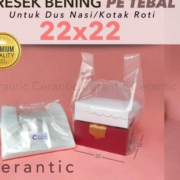 

Kresek Bening Transparan 22 x 22 PE TEBAL untuk Box Dus 22x22 cm