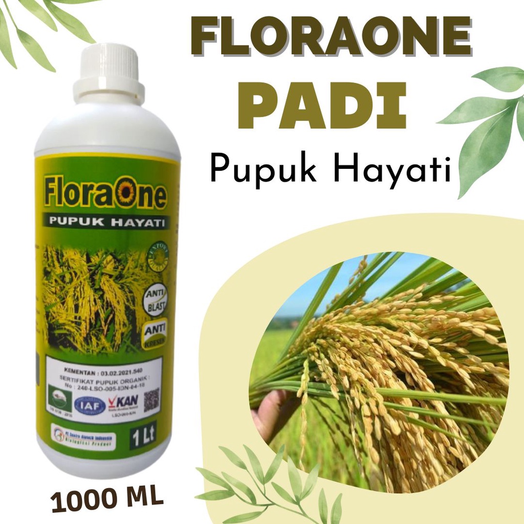 Fungisida Untuk Bercak Daun Padi, Obat Padi Kerdil dan Kuning, Pupuk Hayati Cair 1 Liter