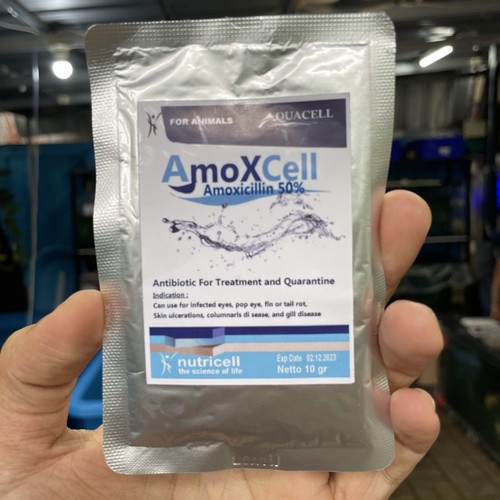 obat ikan amoxcell, obal ikan fish lover amoxcell, obat karantina ikan amoxcell, obat amoxcell, obat