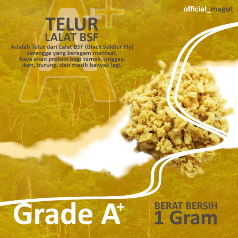 

Telur Lalat BFS Kualitas Super | Dijamin Menetas | Telur Magot | Berat Bersih 1 Gram